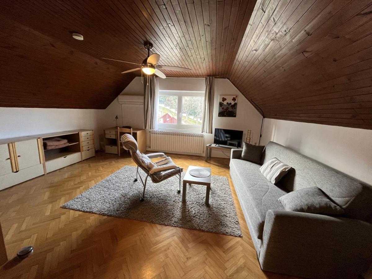Cozzy Apartment In Nature ザグレブ エクステリア 写真